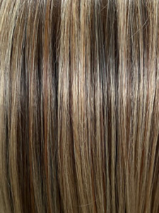 Honey Mix Balayage (12/27/16+12)