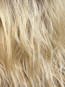 Dark Blond Balayage (14/26+12)