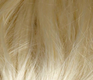 Platinum Blonde
